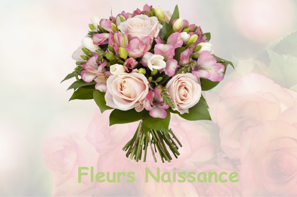 fleurs naissance MEUNG-SUR-LOIRE