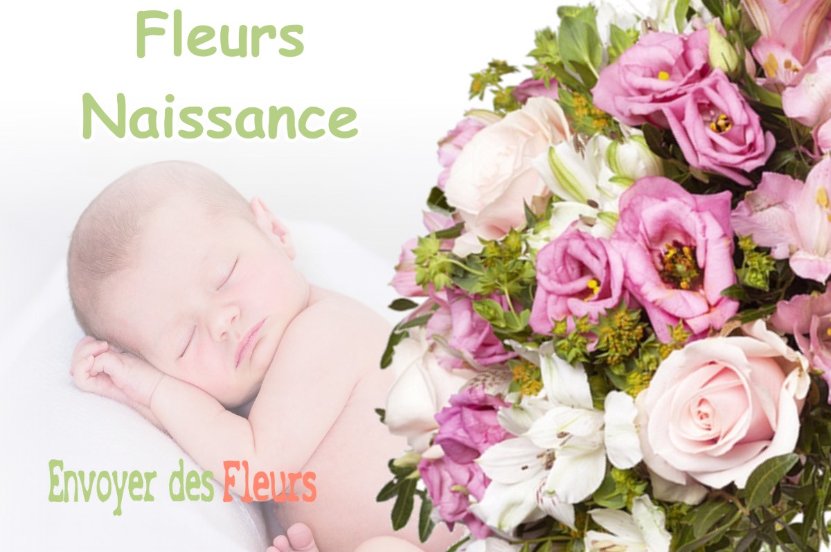 lIVRAISON FLEURS NAISSANCE à MEUNG-SUR-LOIRE